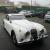 jaguar xk150_69000_blanc.jpg